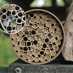 Standard Mason Bee Nest Kit - Outdoor Products