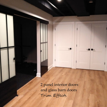 Flat panel doors and glass barn doors.