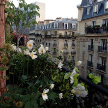 Paris: Låt vårens stad inspirera din balkong eller altan