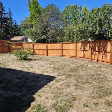 Privacy Fencing