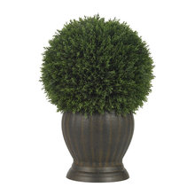 1plants