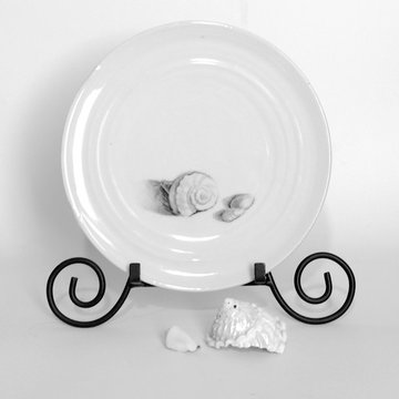 Seashell Dinnerware