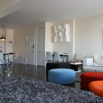Downtown NYC - Complete apartment remodeling