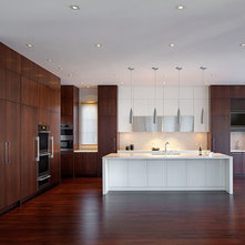 Contemporary Kitchen Cabinetry by Kitchen Art Design