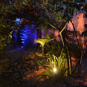 Un jardin original à Toulon