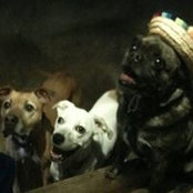 Leslie Beatty's photo