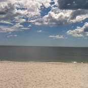 Estelle Whiddon's photo