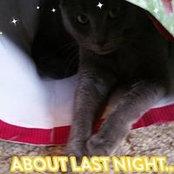 Cindy Yocum's photo