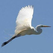 Gloria Kuhn's photo