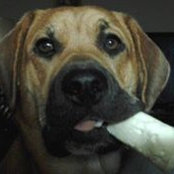 Ronnie Yager's photo