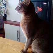 Aleksandr Anokhin's photo