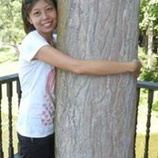 Lim Lins foto