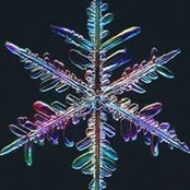 Joanna Antonelli's photo