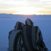 Lisa Roe's photo