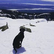 Lauren Henderson's photo