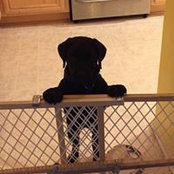 Matt Heisler's photo
