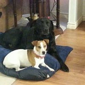 Sheila Laur's photo