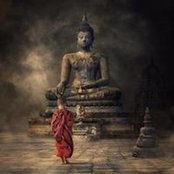 Manu Mullier's photo