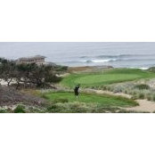 Davida Vittori's photo