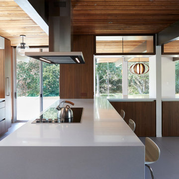 San Rafael Mid Century Modern