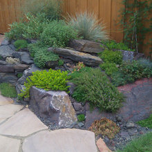 backyard ideas