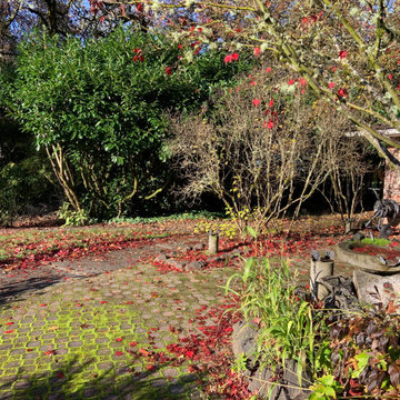 Lakewood Zen Patio