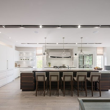 Contemporary Residential Kitchen