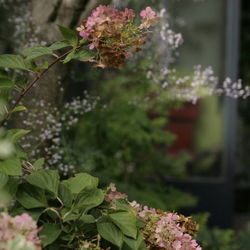 Jardins d'ombre