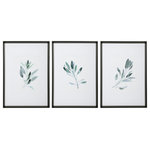 Uttermost - Uttermost 33723 Simple Sage - 36.5 inch Watercolor Print (Set of 3) - A Nod To Modern Farmhouse Style, This Set Of ArtwoSimple Sage 36.5 inc Black/Green/Teal/Pol *UL Approved: YES Energy Star Qualified: n/a ADA Certified: n/a  *Number of Lights:   *Bulb Included:No *Bulb Type:No *Finish Type:Black/Green/Teal/Polished Silver