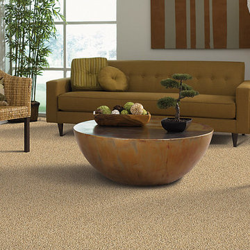 There Is Always 'Room' For Carpet!