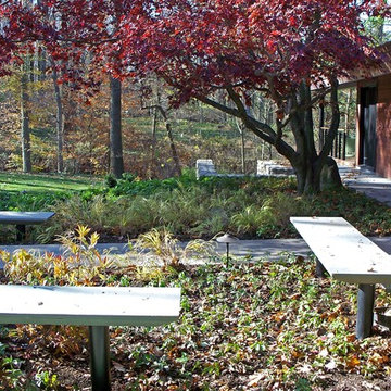 Contemporary Entrance Garden