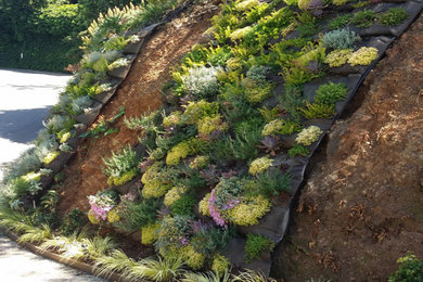 Inspiration for a landscaping in San Francisco.