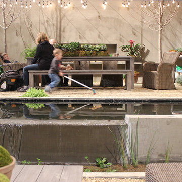 Natural Swimming Pool. 2014 Chicago Flower and Garden Show