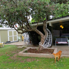 eichler