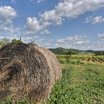 Andar per Vino e Cantine in Toscana