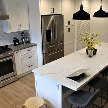 Burbank Contemporary Kitchen Remodel