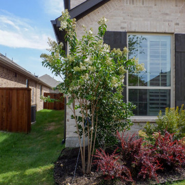 Flowering Trees & Shrubs