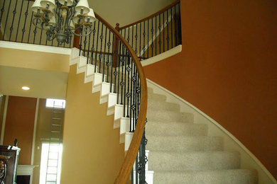 Example of a mid-sized transitional carpeted curved staircase design in Houston with carpeted risers