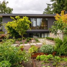 front yard