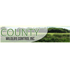 County Wildlife Control Inc