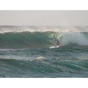 Lucky Cole's photo