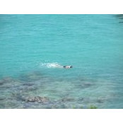Rose Carter's photo