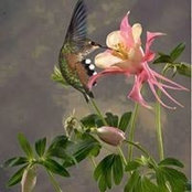 Laura King's photo