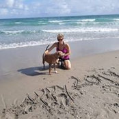 Phyllis Greenberg Krupp's photo