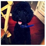 Lola Mitchell's photo
