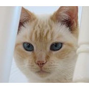 Pattie Tibbetts's photo