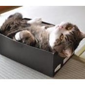 Wendy Lee's photo