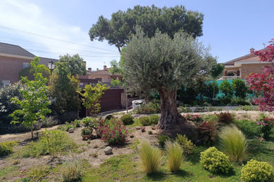 Ejemplo de jardín mediterráneo en patio
