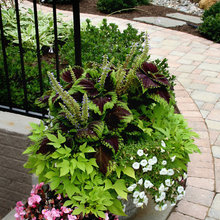 Landscape Ideas