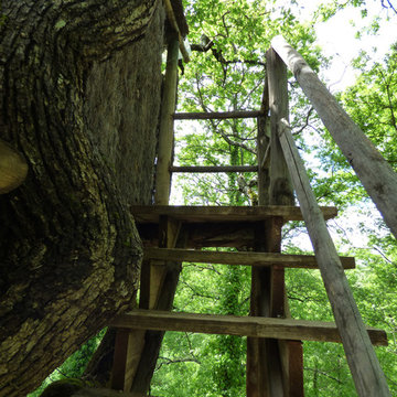 LA CASA SULL' ALBERO